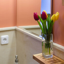 apartamentos en córdoba
