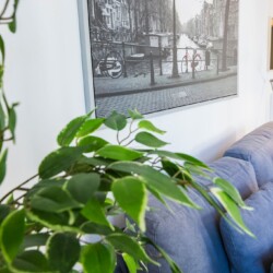 apartamentos en córdoba