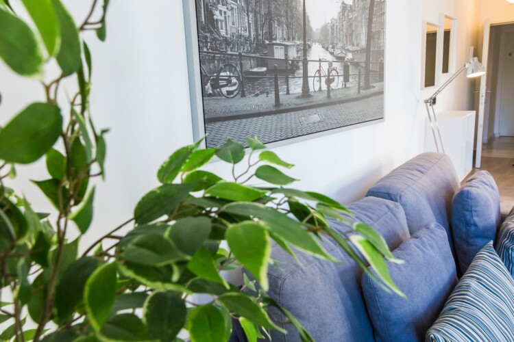 apartamentos en córdoba