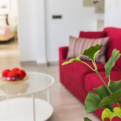 apartamentos en córdoba