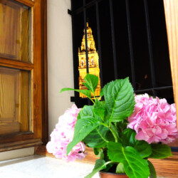 apartamentos en córdoba