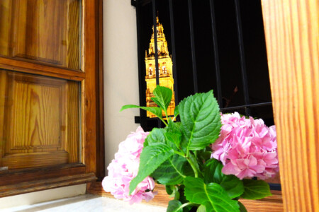apartamentos en córdoba