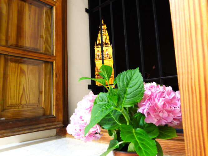 apartamentos en córdoba