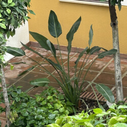apartamentos en córdoba