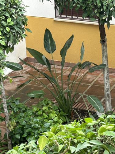 apartamentos en córdoba