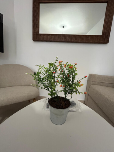 apartamentos en córdoba