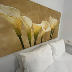 apartamentos en córdoba
